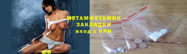 индика Гусев