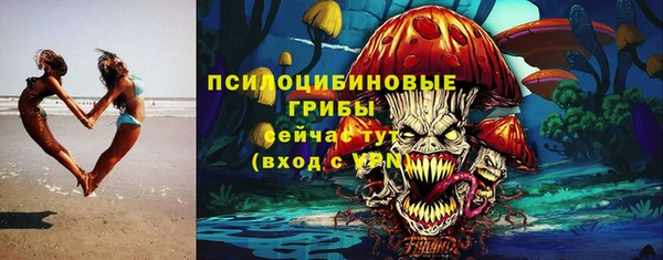 стаф Гусь-Хрустальный