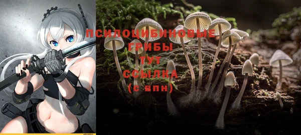 крисы Алексин