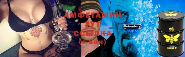 крисы Алексин