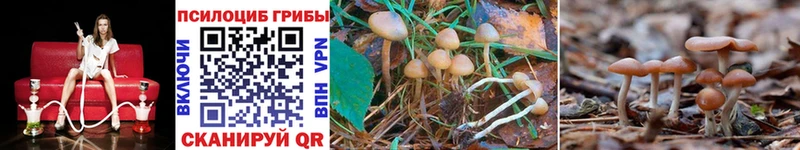 Галлюциногенные грибы GOLDEN TEACHER  Чапаевск 